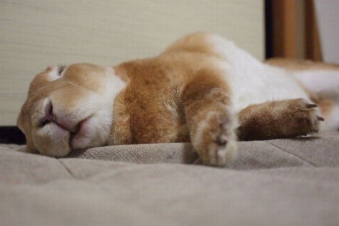 Прикольные картинки (98 фото)