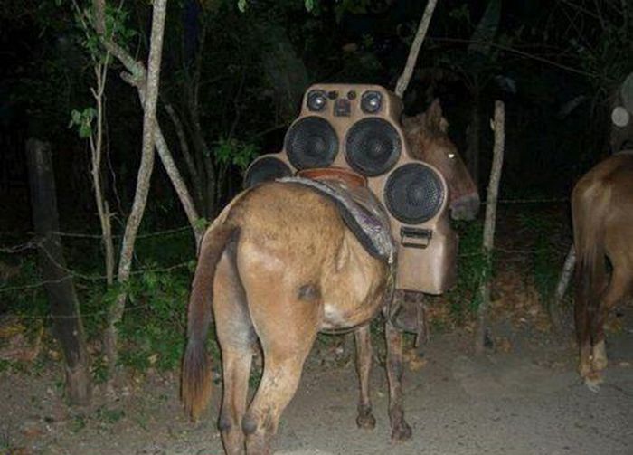 Прикольные картинки (98 фото)