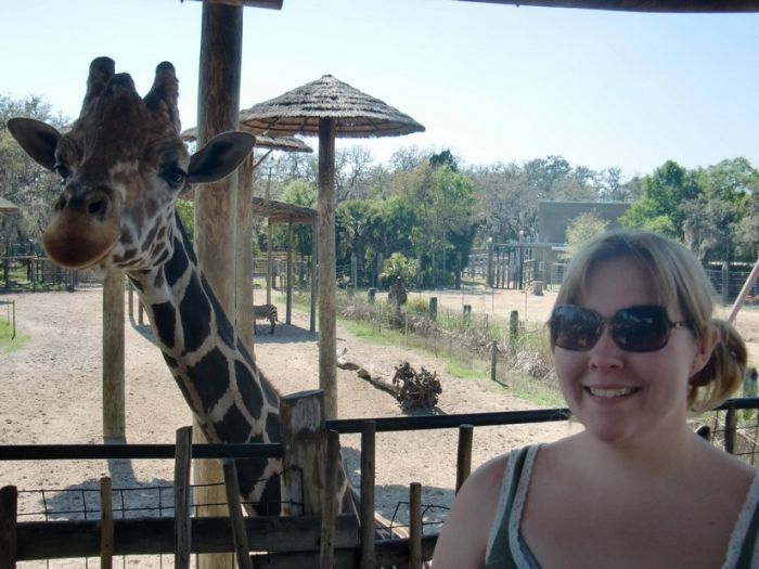 Прикольные картинки (105 фото)