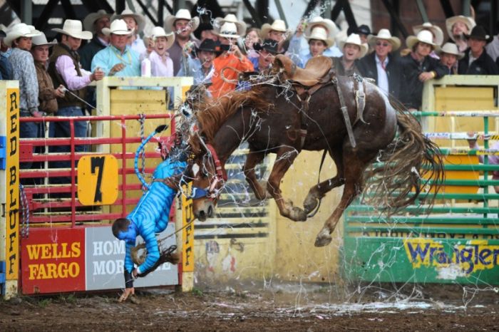 Прикольные картинки (90 фото)