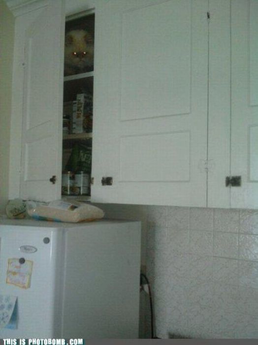 Прикольные картинки (90 фото)