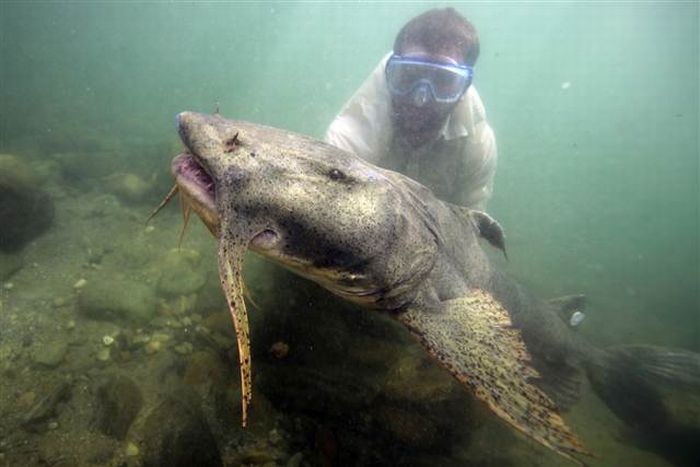 Прикольные картинки (90 фото)