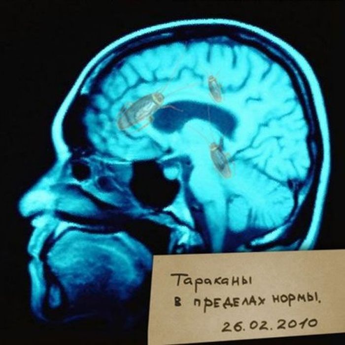 Прикольные картинки (90 фото)