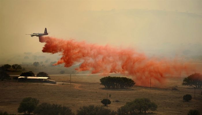 Прикольные картинки (90 фото)