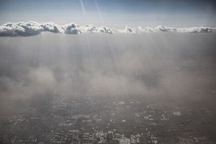 Прикольные картинки (90 фото)