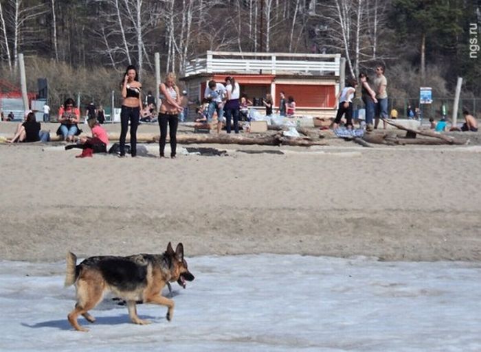 Прикольные картинки (90 фото)