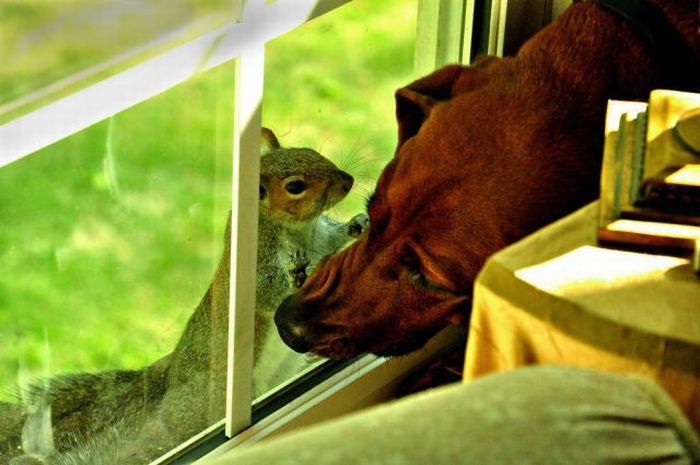 Прикольные картинки (90 фото)