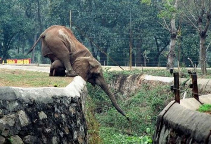 Прикольные картинки (90 фото)